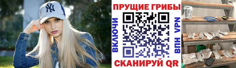 продажа наркотиков  KRAKEN ТОР  Галлюциногенные грибы GOLDEN TEACHER  Лысково 